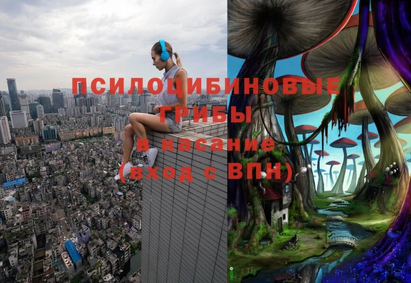 бутират Горно-Алтайск