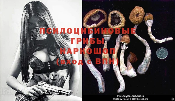 бутират Горно-Алтайск