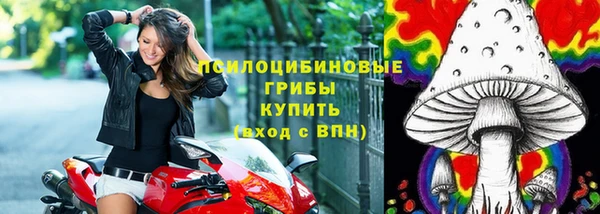бутират Горно-Алтайск