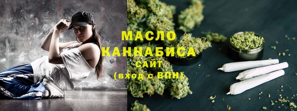 дмт Горняк