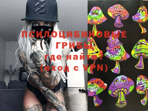 ГАЛЛЮЦИНОГЕННЫЕ ГРИБЫ Горнозаводск