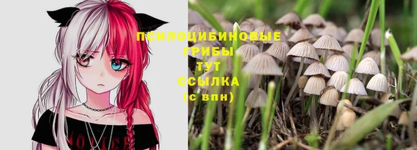 ГАЛЛЮЦИНОГЕННЫЕ ГРИБЫ Горнозаводск