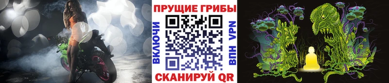 Купить  Новоалтайск  Галлюциногенные грибы мицелий 